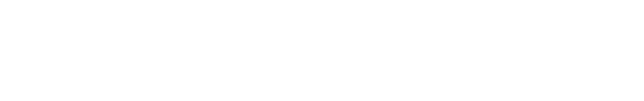 Skan-Kontroll